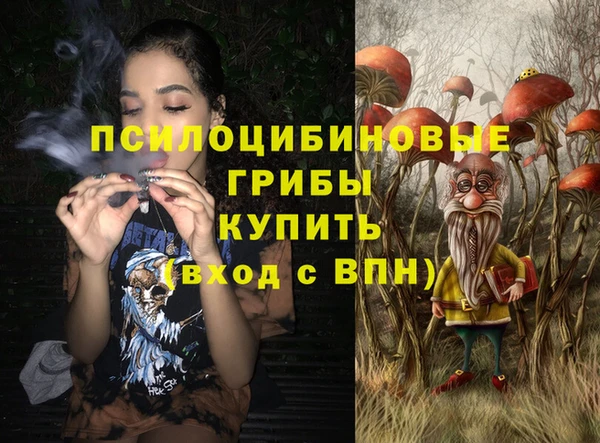 стафф Володарск